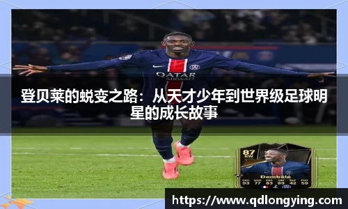 3377体育app